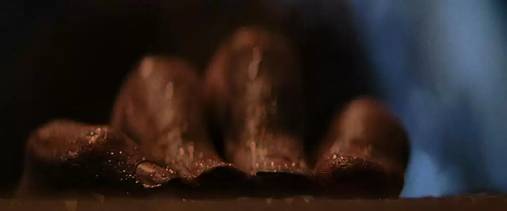 エイリアンの画像