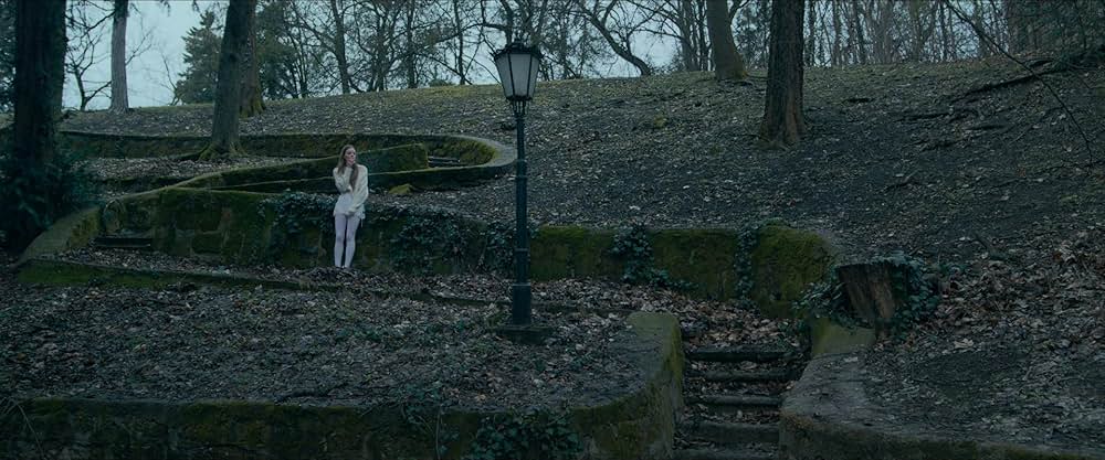 バーズ・オブ・パラダイスの画像