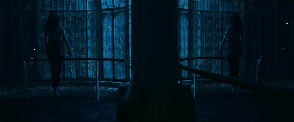 バーズ・オブ・パラダイスの画像