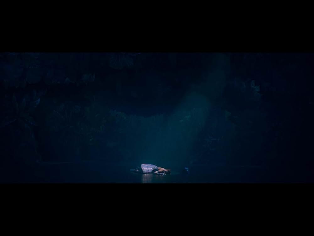 バーズ・オブ・パラダイスの画像