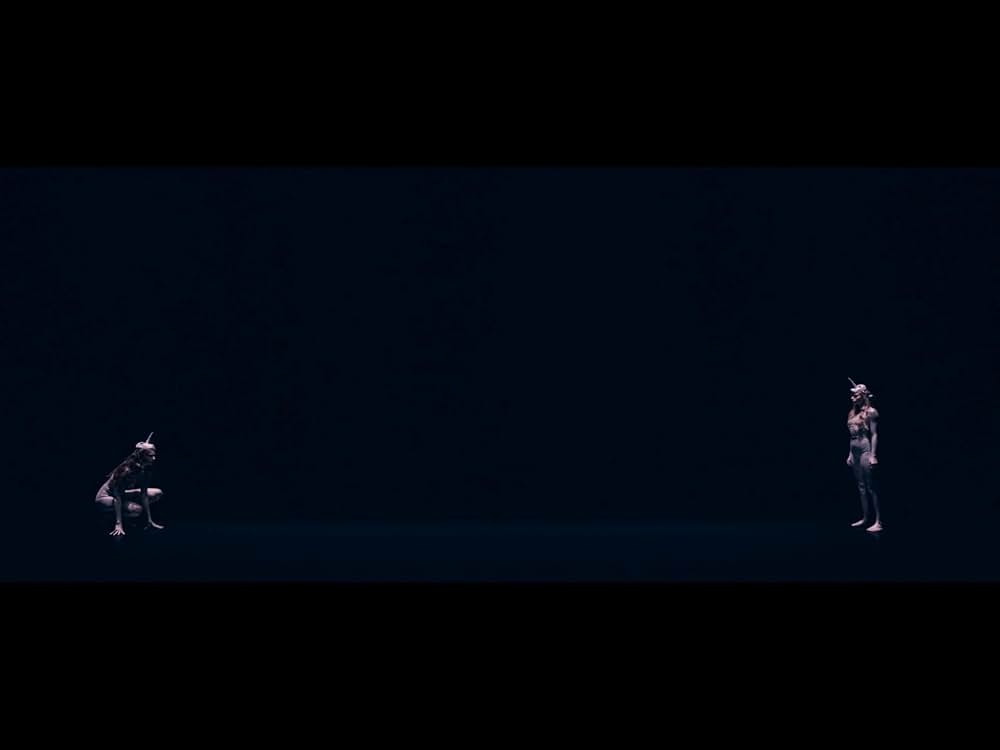 バーズ・オブ・パラダイスの画像