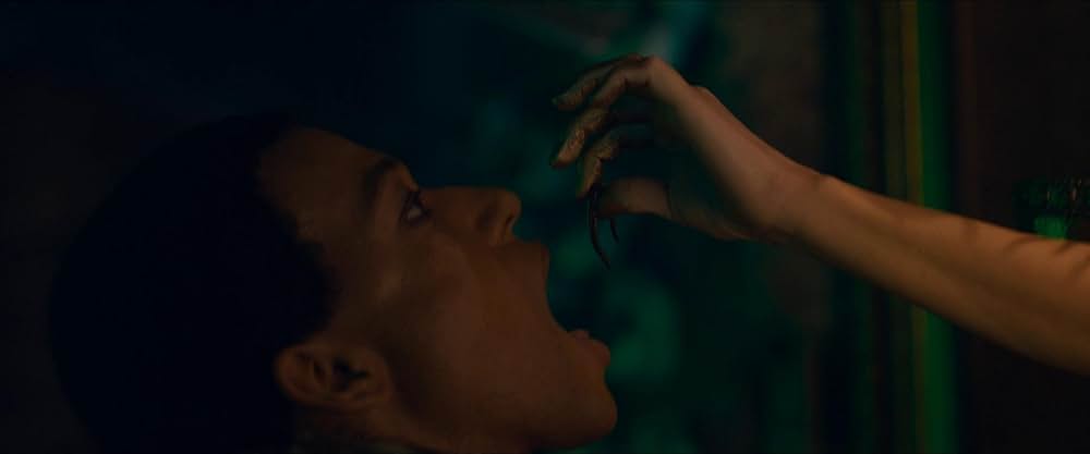 バーズ・オブ・パラダイスの画像