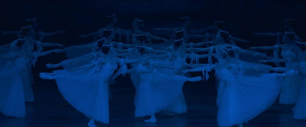 バーズ・オブ・パラダイスの画像