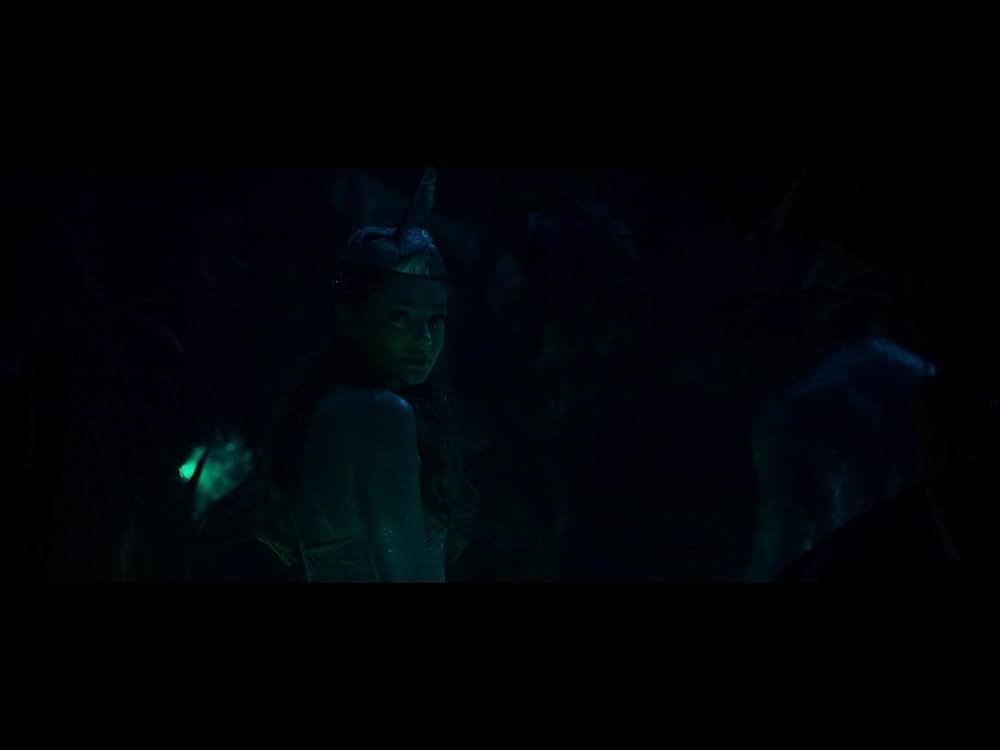 バーズ・オブ・パラダイスの画像