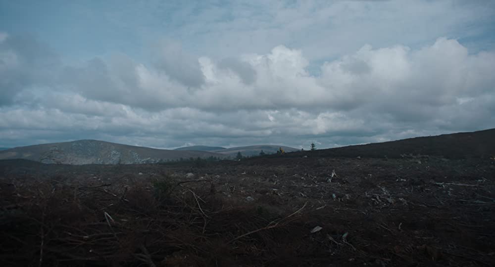 グリーン・ナイトの画像