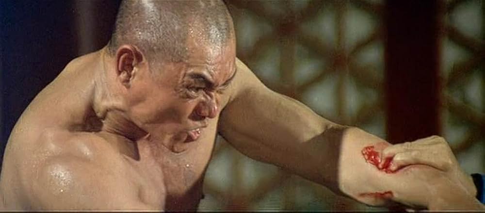 少林寺怒りの鉄拳の画像