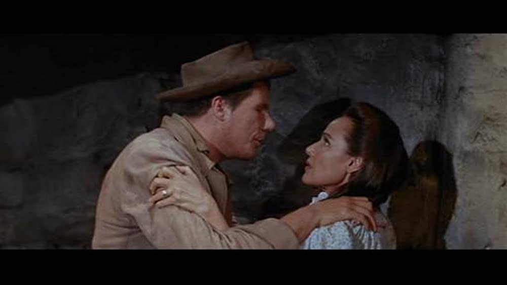 燃える平原児の画像