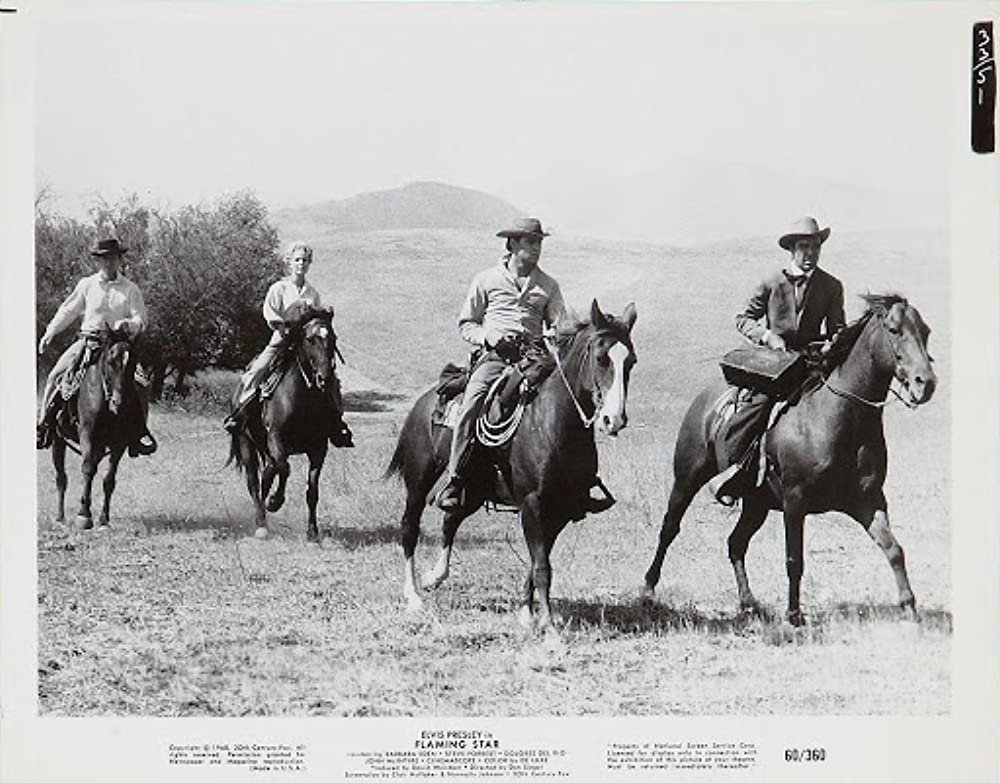 燃える平原児の画像