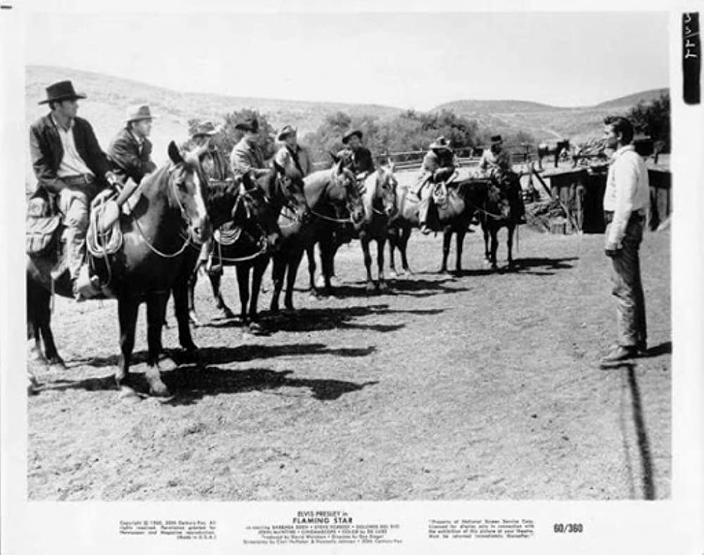 燃える平原児の画像