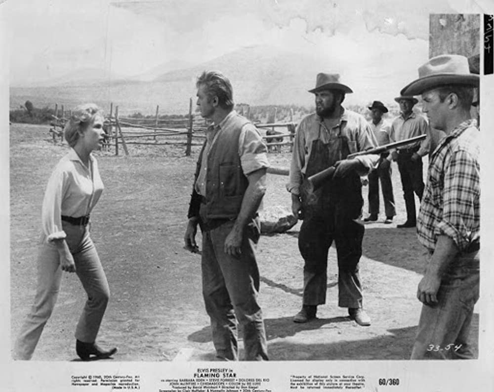 燃える平原児の画像