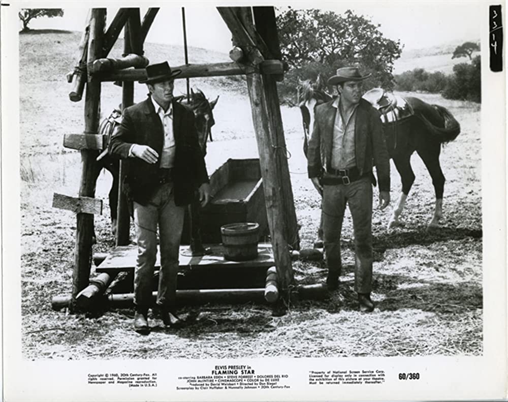 「燃える平原児」エルビス・プレスリーの画像