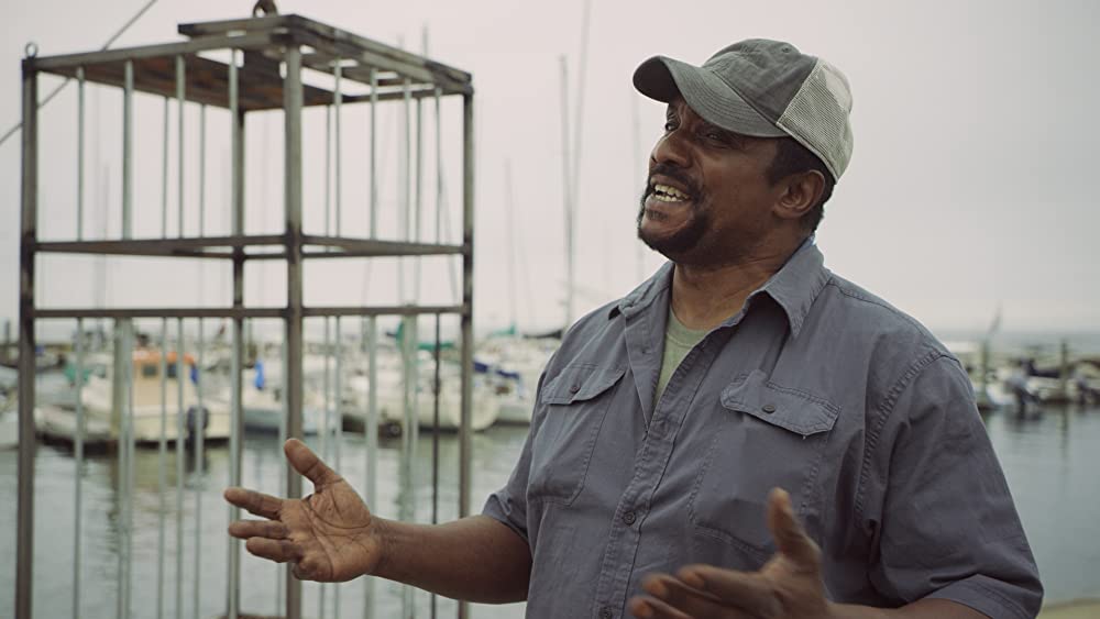 サメストーカーの画像