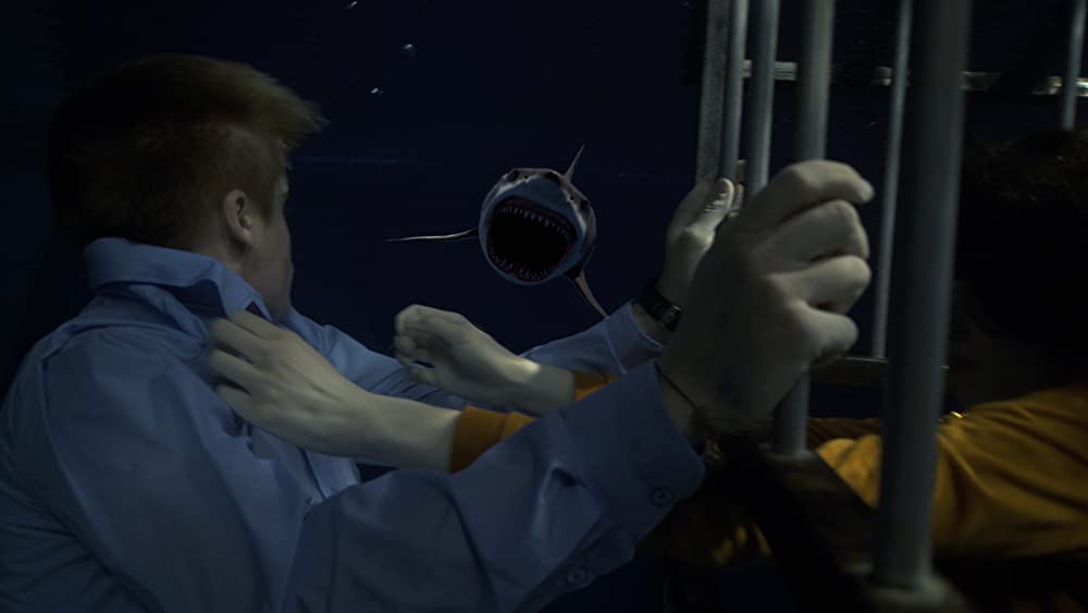 サメストーカーの画像