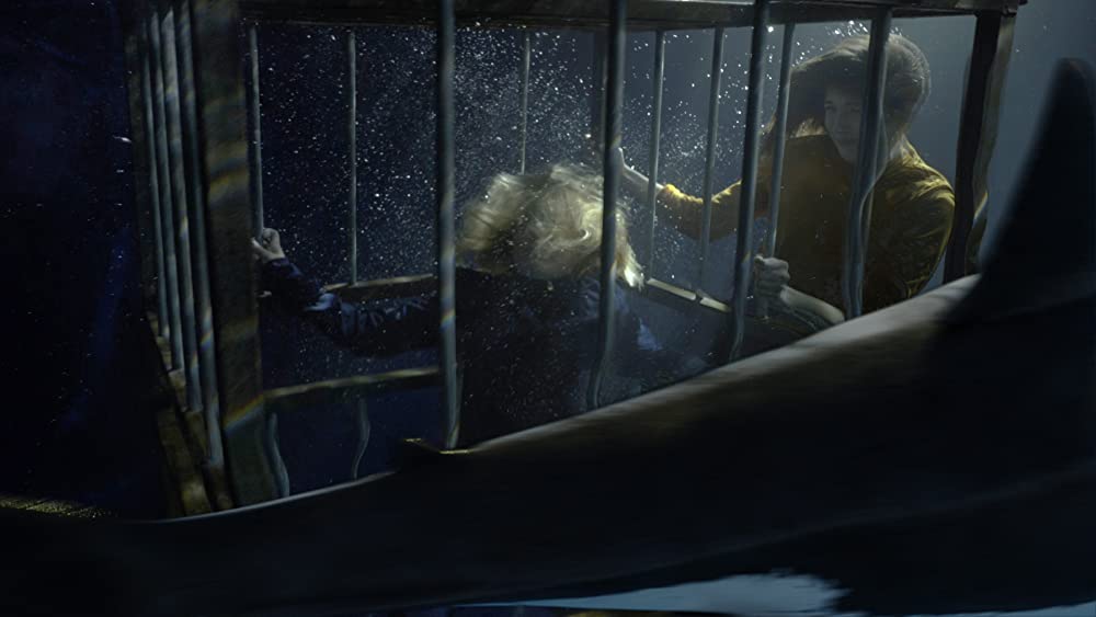 サメストーカーの画像