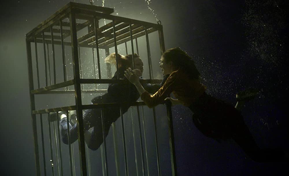 サメストーカーの画像