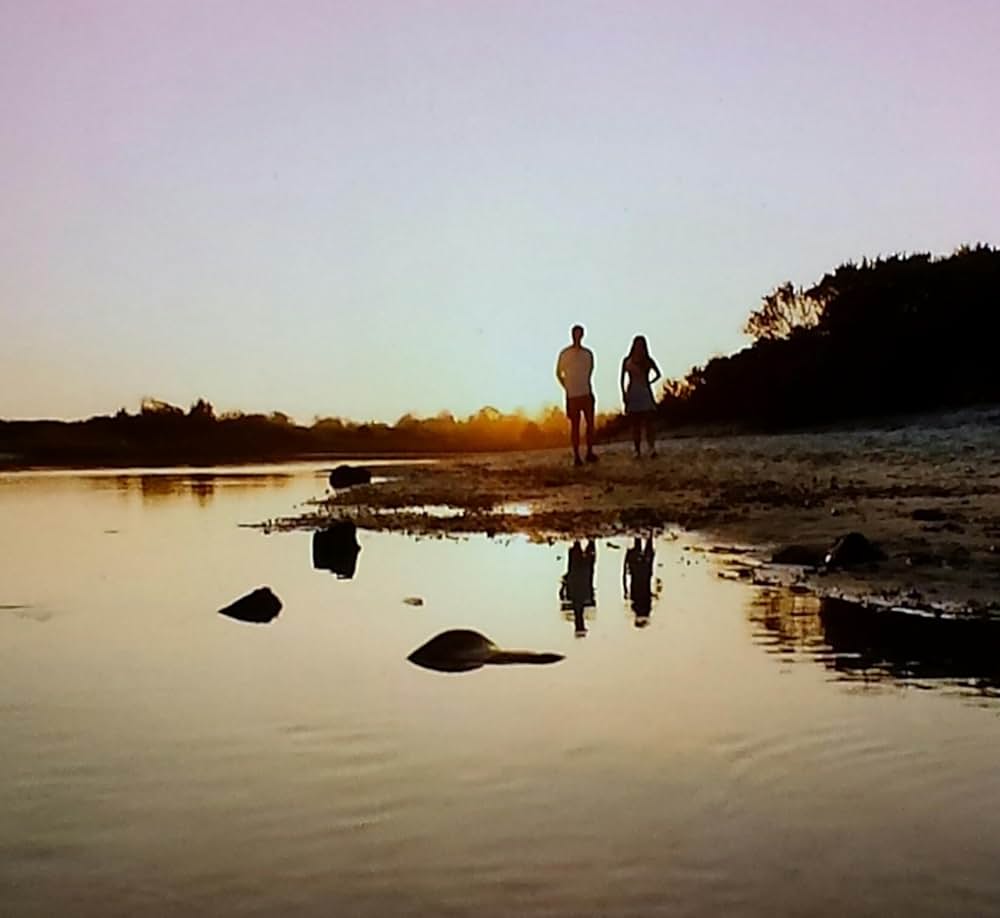 サメストーカー リターンズの画像