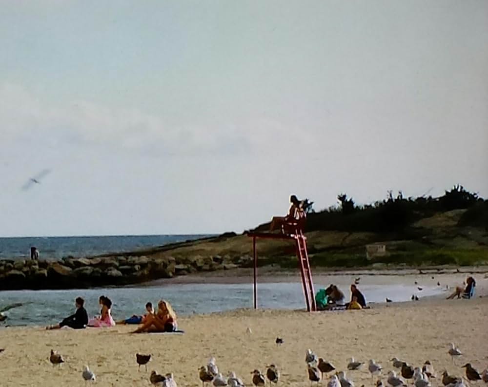 サメストーカー リターンズの画像