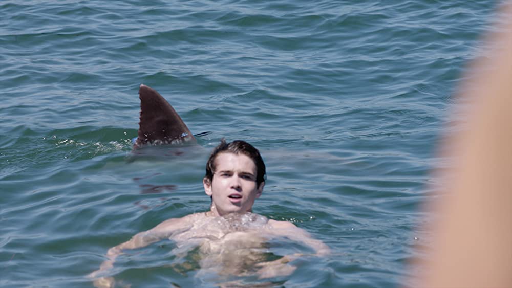 サメストーカー ビギニングの画像