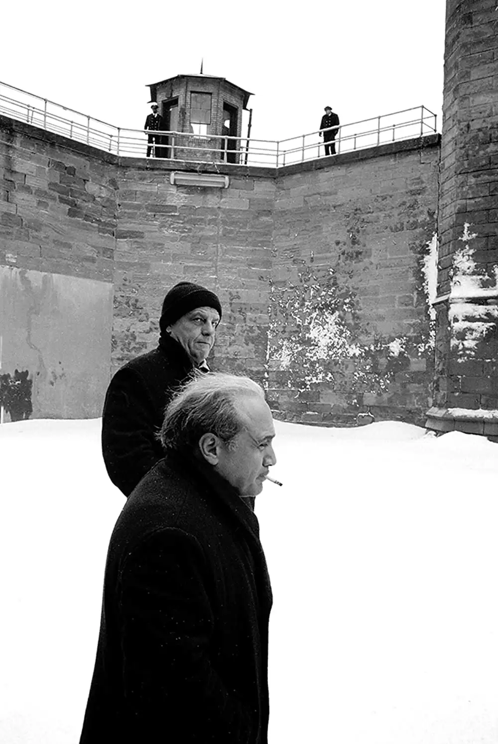 ホッファの画像