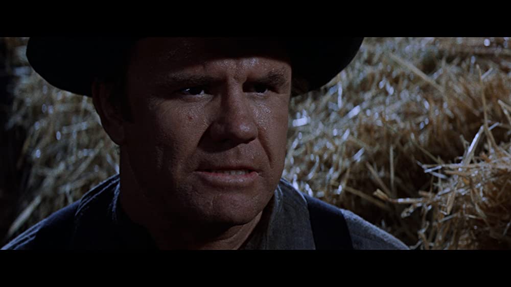 昼下りの決斗の画像