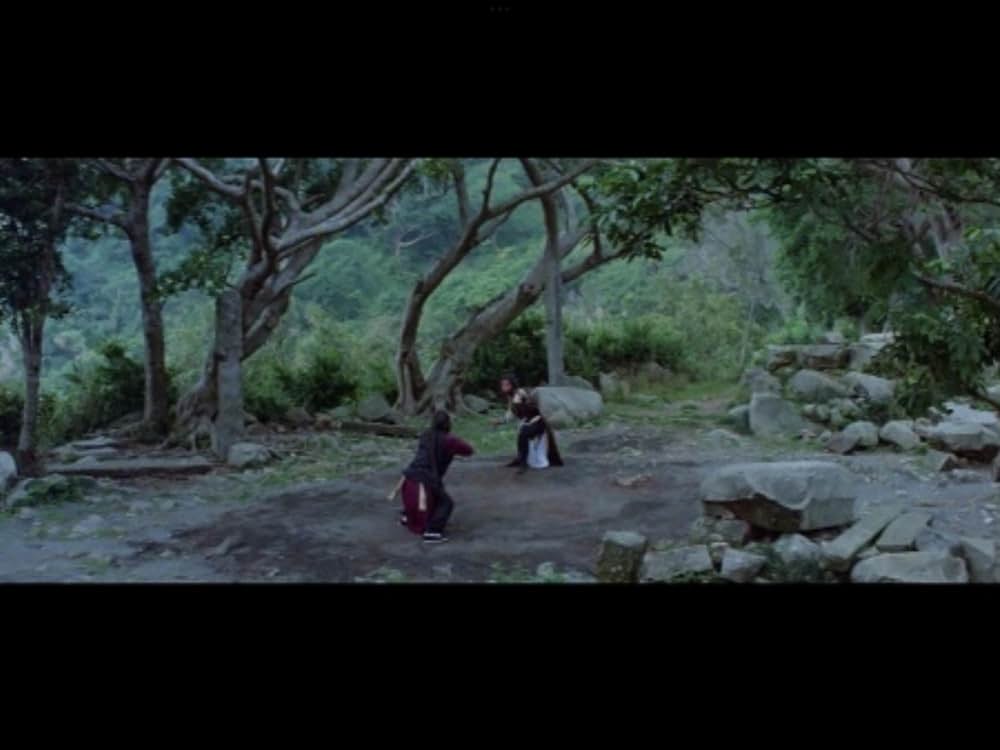 「カンニング・モンキー／天中拳」の画像