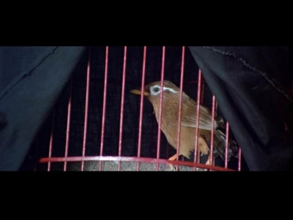 カンニング・モンキー／天中拳の画像