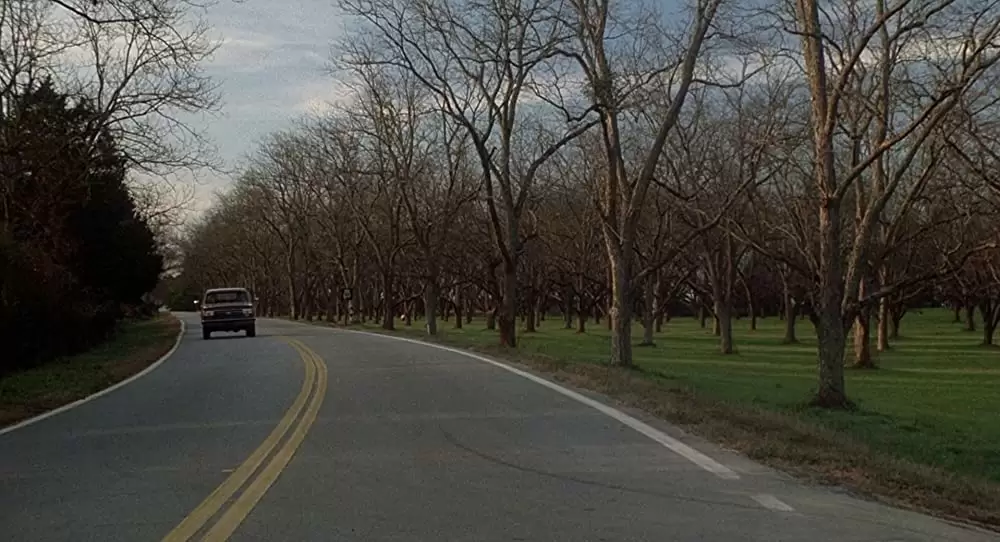 「いとこのビニー」の画像