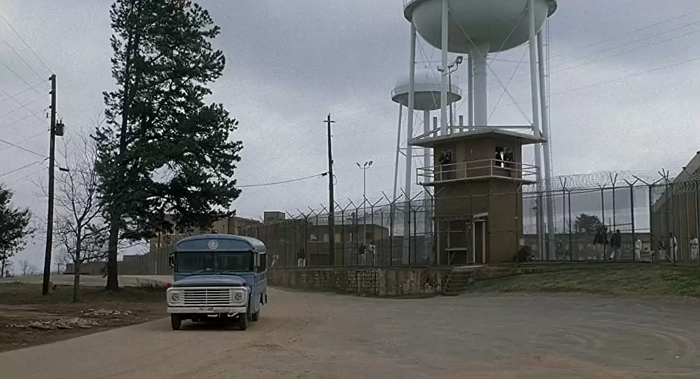 「いとこのビニー」の画像