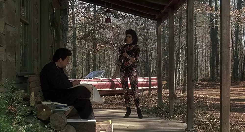 「いとこのビニー」ジョー・ペシ & マリサ・トメイの画像