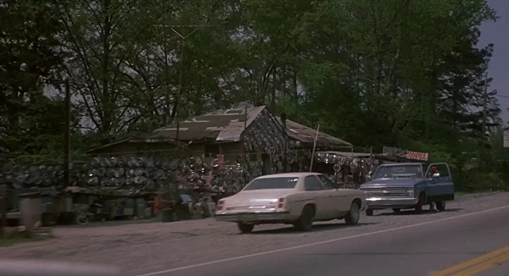 「いとこのビニー」の画像