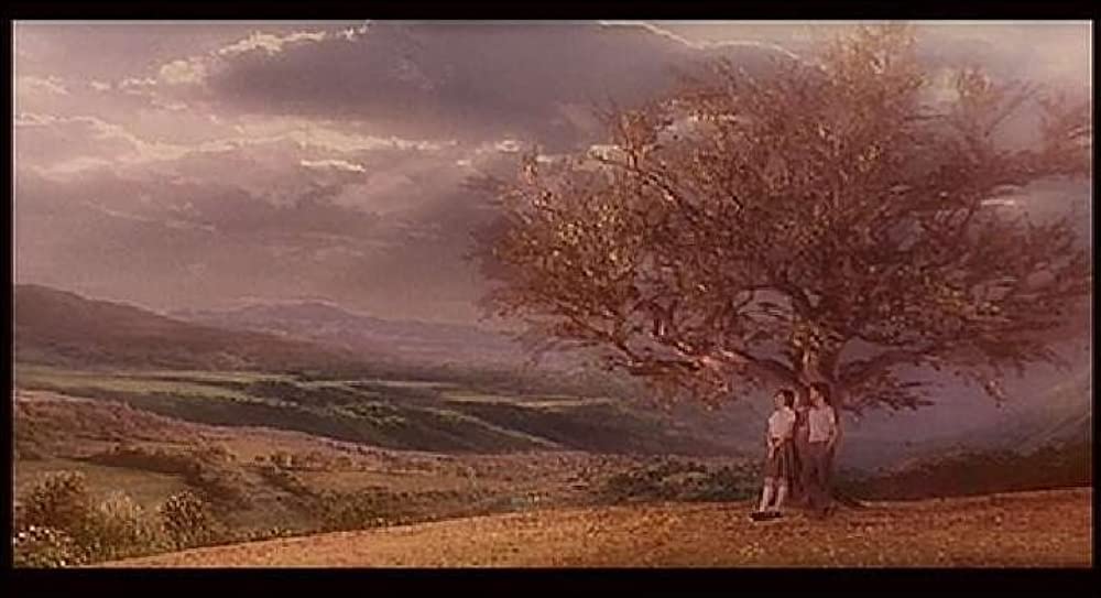 君のいた永遠（とき）の画像