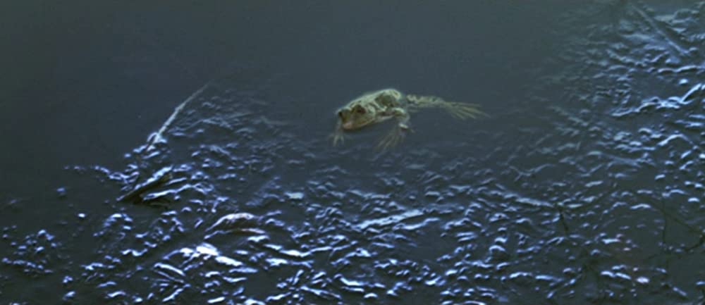 エコールの画像