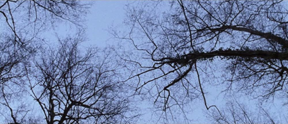 エコールの画像一覧 映画ポップコーン