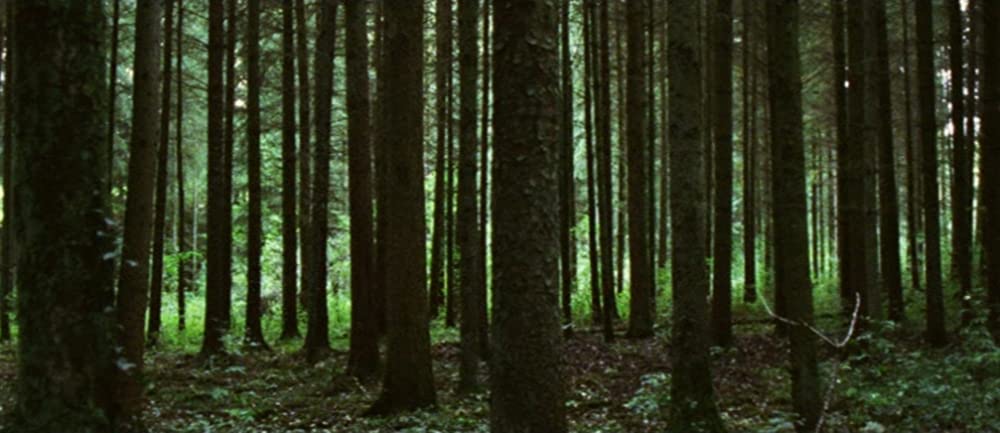 エコールの画像