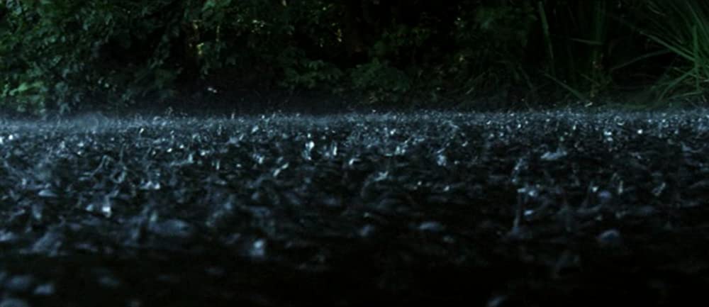 エコールの画像