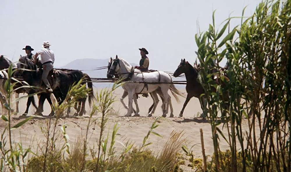 恐竜グワンジの画像