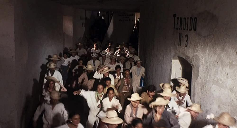 恐竜グワンジの画像