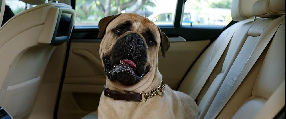 鼓動を高鳴らせの画像