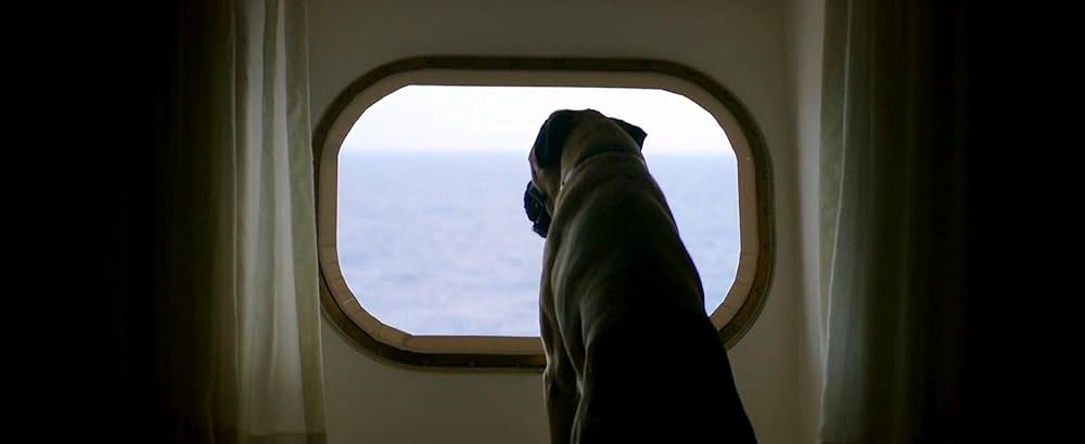 鼓動を高鳴らせの画像