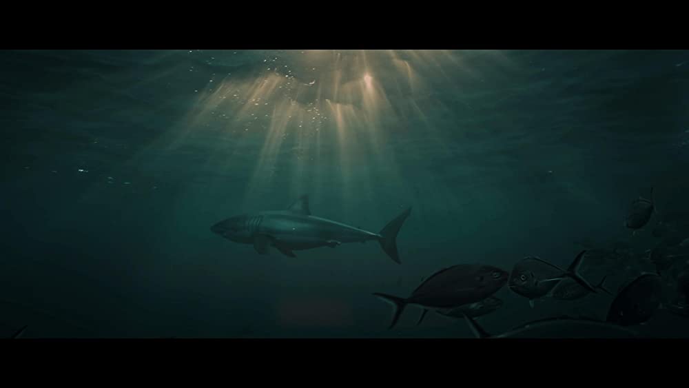 グレート・ホワイトの画像