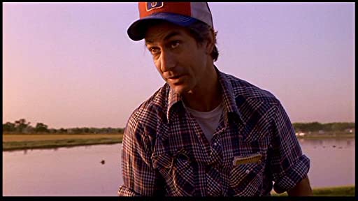 パッション・フィッシュの画像