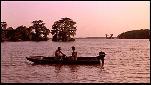 パッション・フィッシュの画像