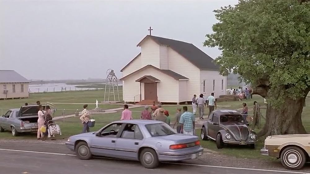 パッション・フィッシュの画像