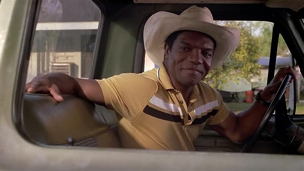 パッション・フィッシュの画像