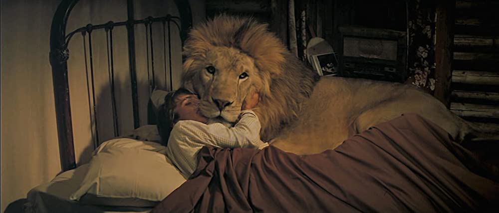 ロアーズの画像