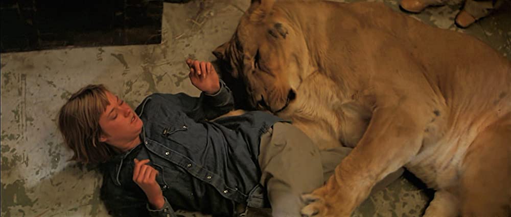 ロアーズの画像