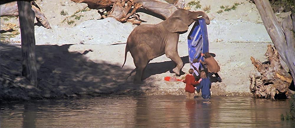 ロアーズの画像