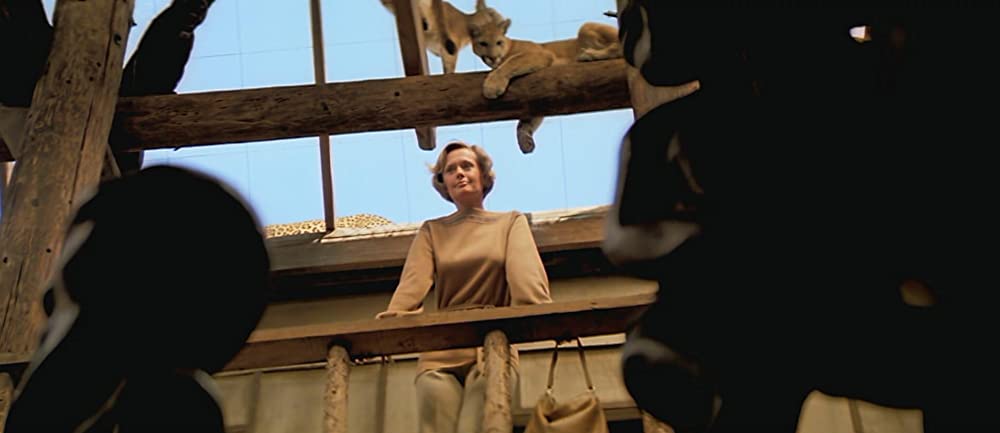 ロアーズの画像