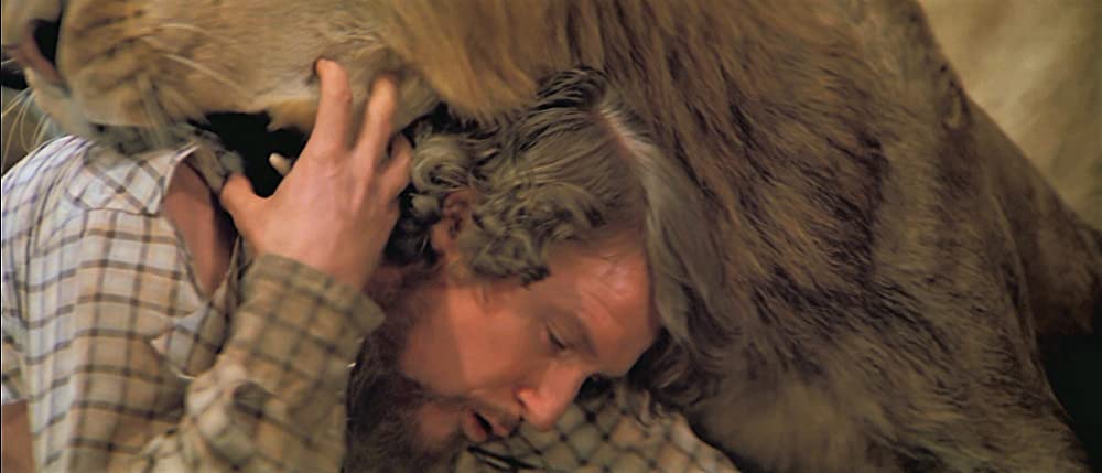 ロアーズの画像