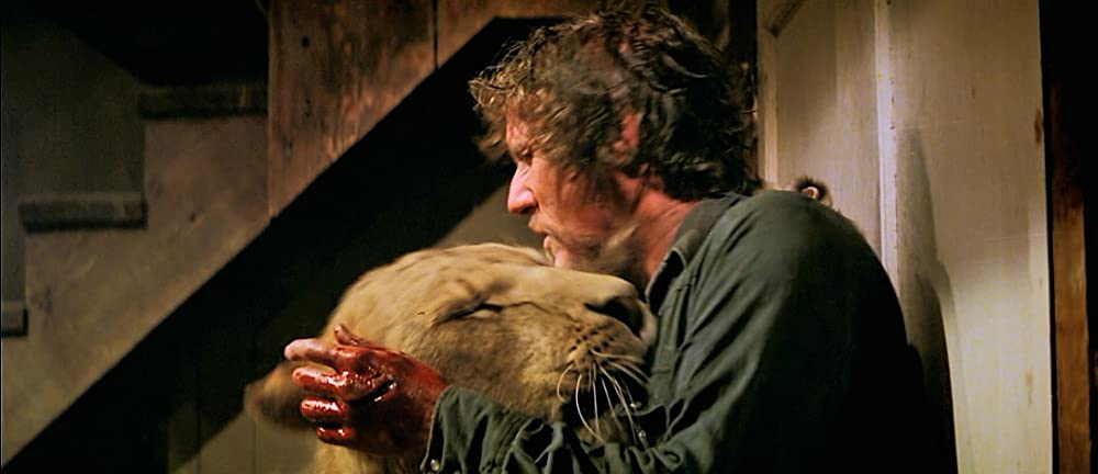 ロアーズの画像